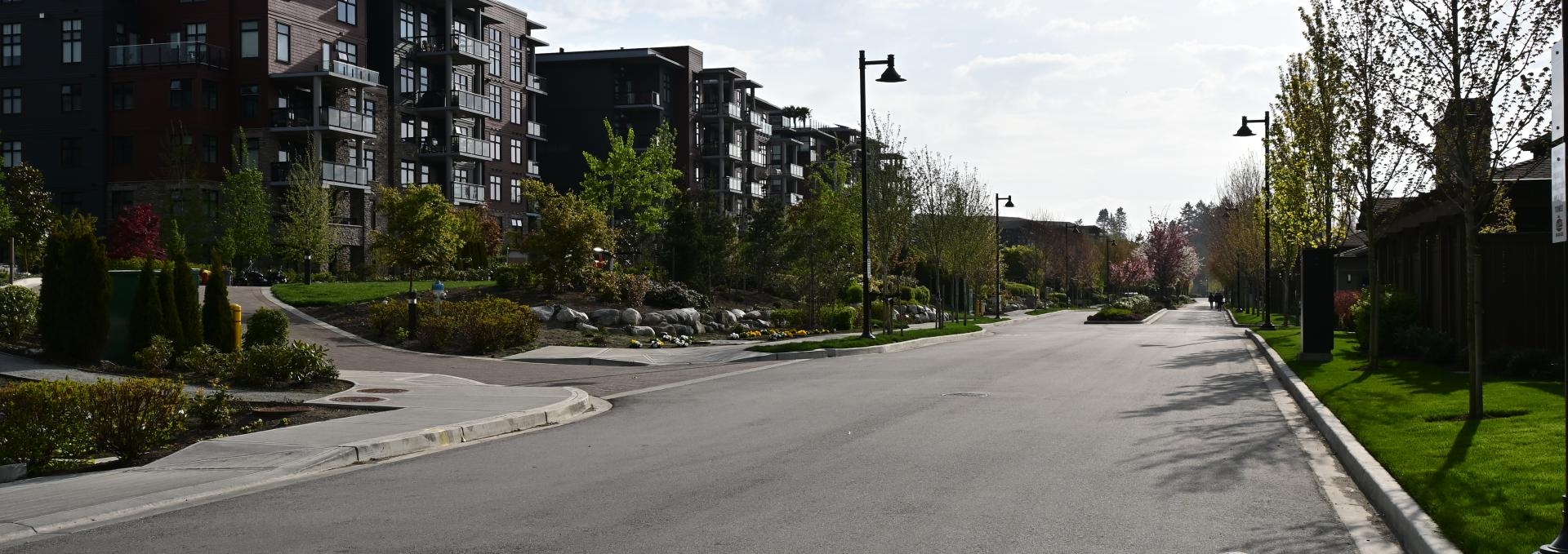 A street with apartment buildings on one side and a park on the other