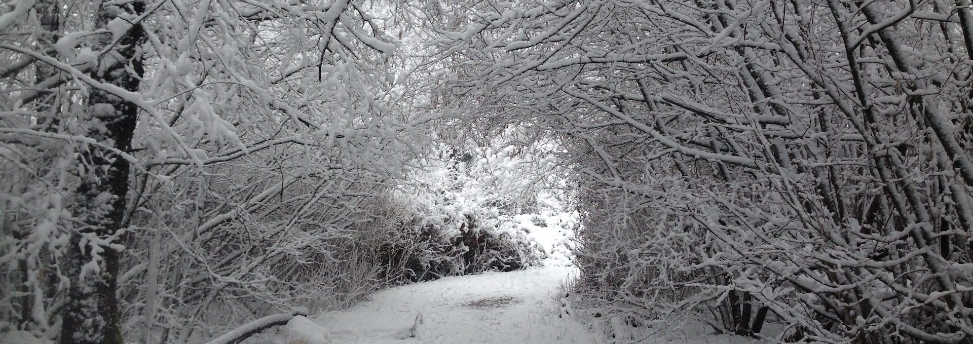 A snowy roadway